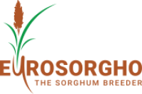 Logo Eurosorgho